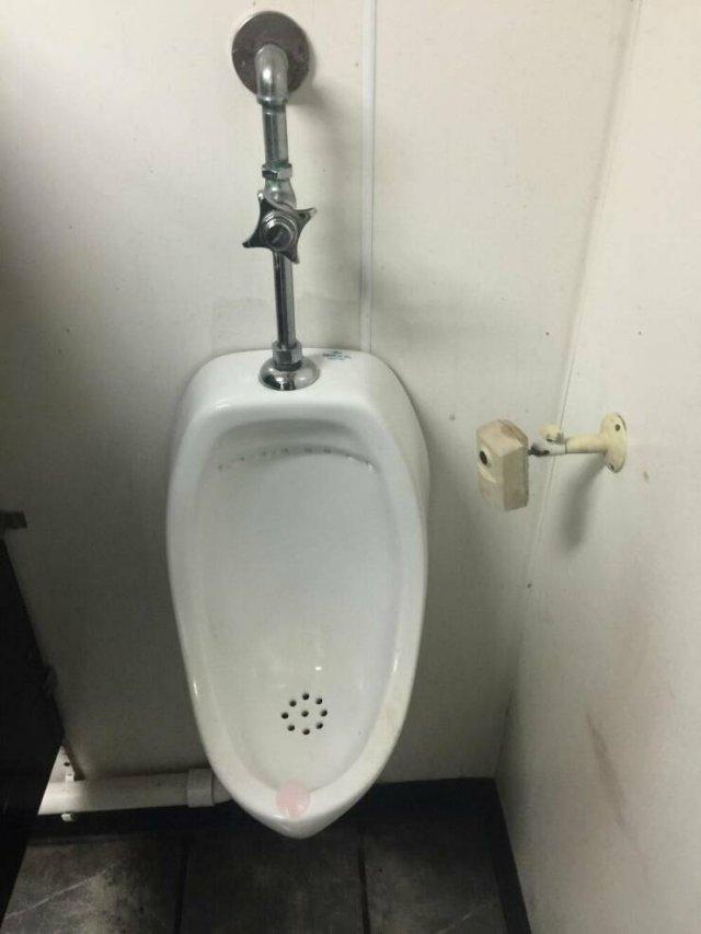 ������� ����� � �������� ��� ���������� (30 ����)