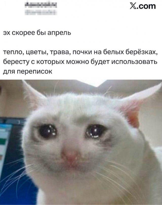 ������� ����� � �������� ��� ���������� (30 ����)