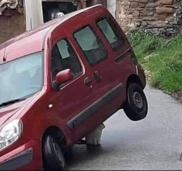 ������� ����� � �������� ��� ���������� (30 ����)