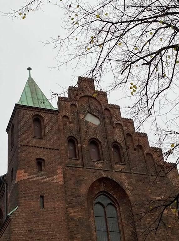 ������� ����� � �������� ��� ���������� (30 ����)