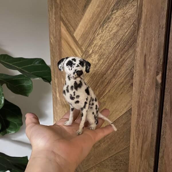 ������� ����� � �������� ��� ���������� (30 ����)