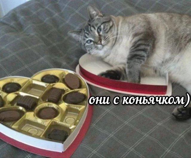 ���������! ������� �� ���� (15 ����)