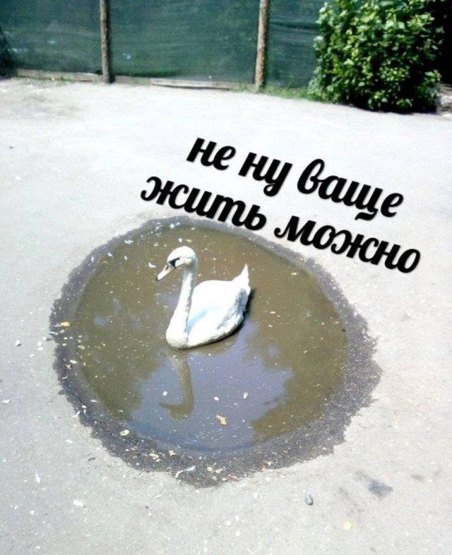 ���������! ������� �� ���� (15 ����)