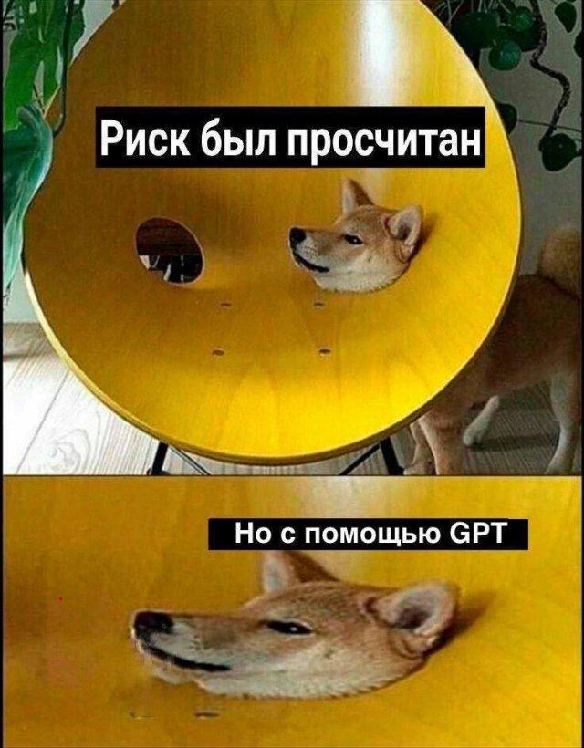 ���������! ������� �� ���� (15 ����)