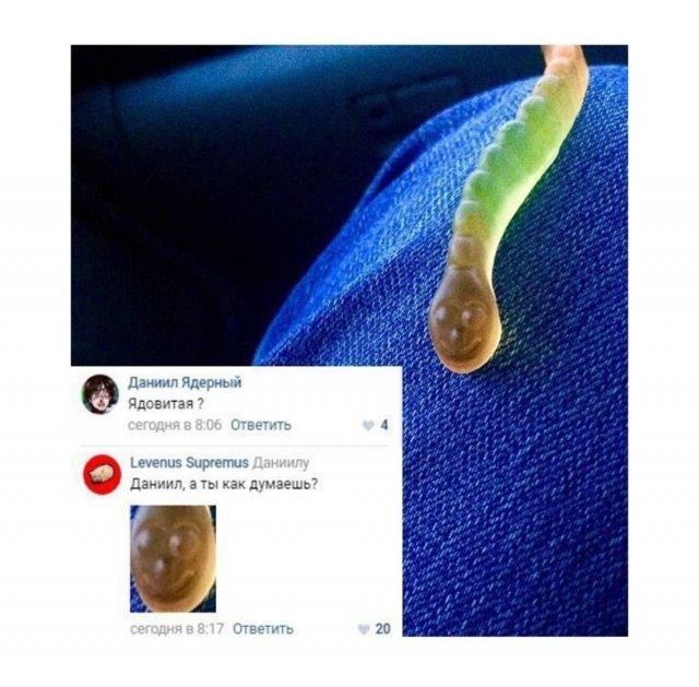 ���������! ������� �� ���� (15 ����)