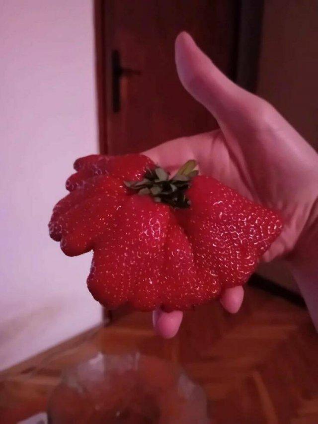 �������� ����� ��� ���������� (30 ����)