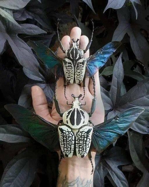 �������� ����� ��� ���������� (30 ����)