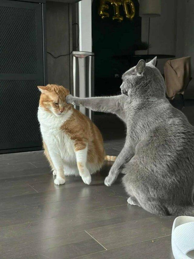 �������� ����� ��� ���������� (30 ����)