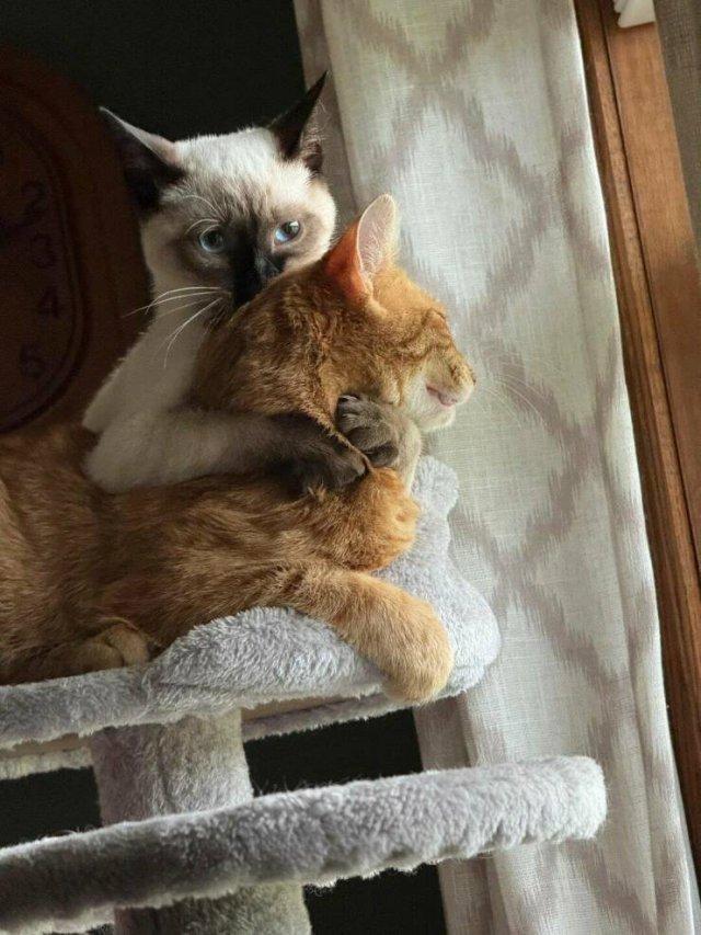 �������� ����� ��� ���������� (30 ����)