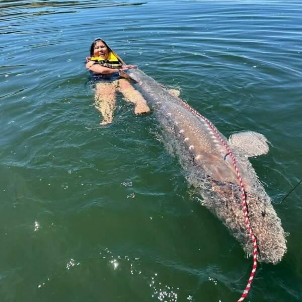 �������� ����� ��� ���������� (30 ����)