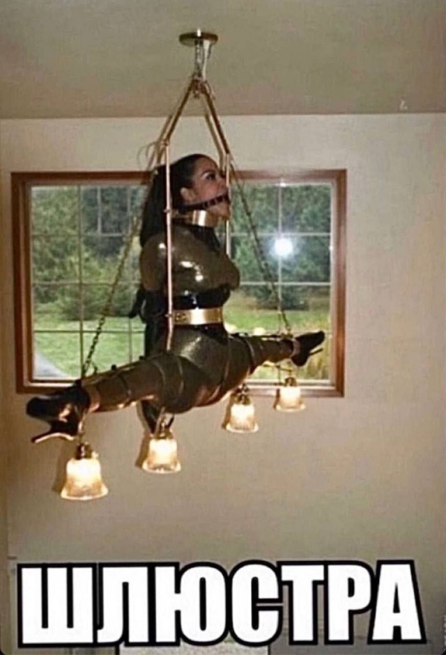 ������ ���� � ������� ��� ���������� (37 ����)