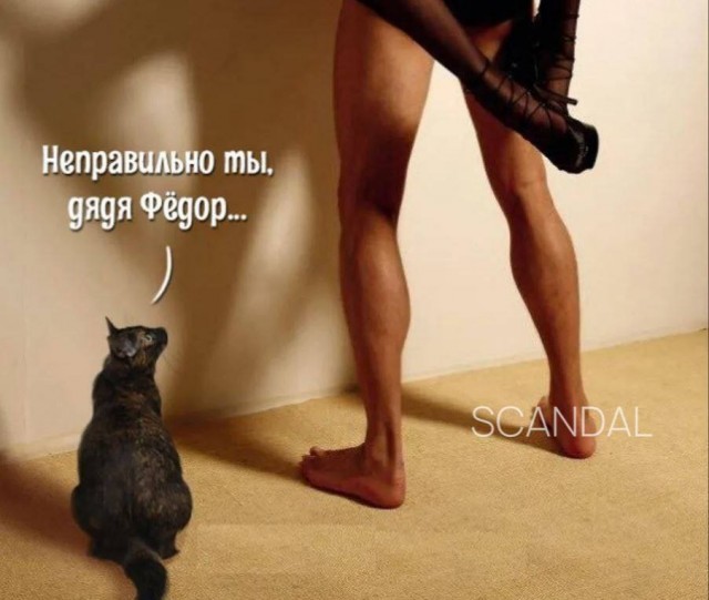 ������ ���� � ������� ��� ���������� (37 ����)