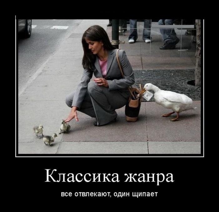 ������������ �������� (20 ����)