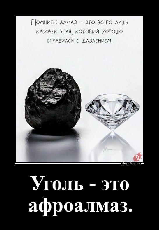 ������������ �������� (20 ����)