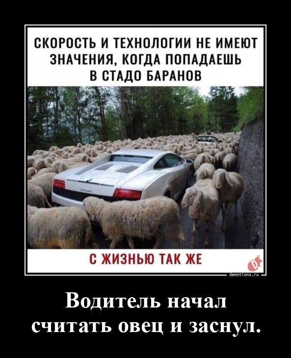 ������������ �������� (20 ����)