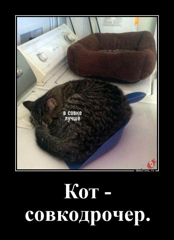 ������������ �������� (20 ����)