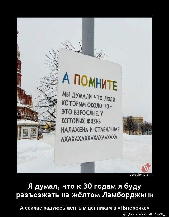 ������������ �������� (20 ����)