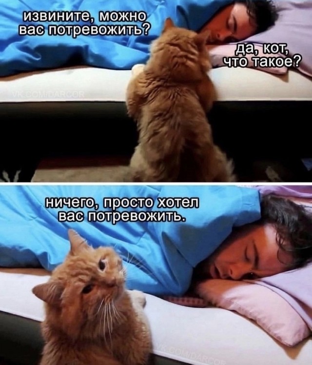 ���������! ������� ����� � �������� �� ���� (25 ����)