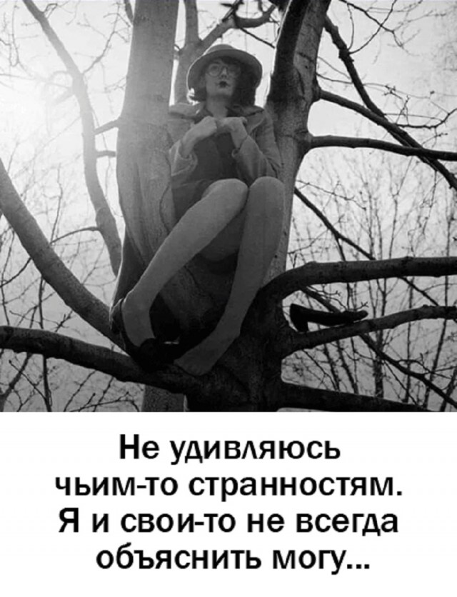 ���������! ������� ����� � �������� �� ���� (25 ����)