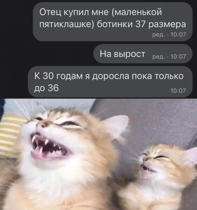 ���������! ������� ����� � �������� �� ���� (25 ����)