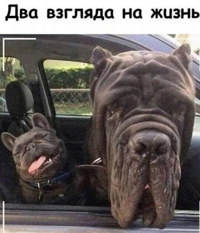 ���������! ������� ����� � �������� �� ���� (25 ����)