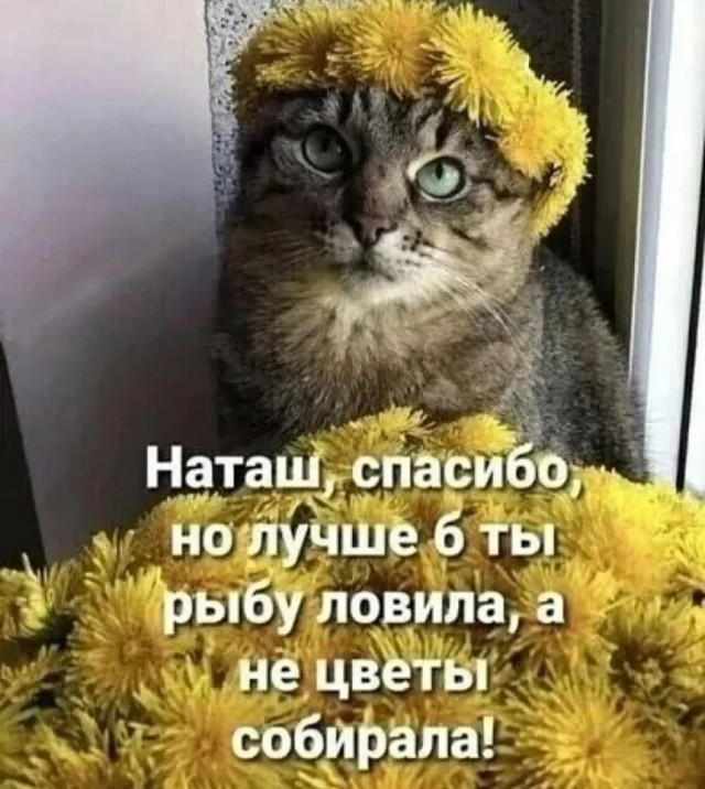 ���������! ������� ����� � �������� �� ���� (25 ����)