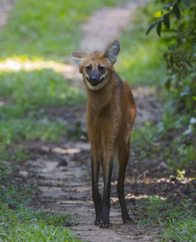 ���������! ������� ����� � �������� �� ���� (25 ����)