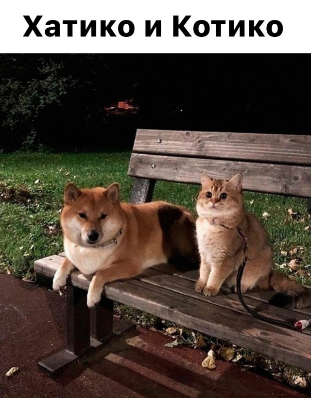 ���������! ������� ����� � �������� �� ���� (25 ����)