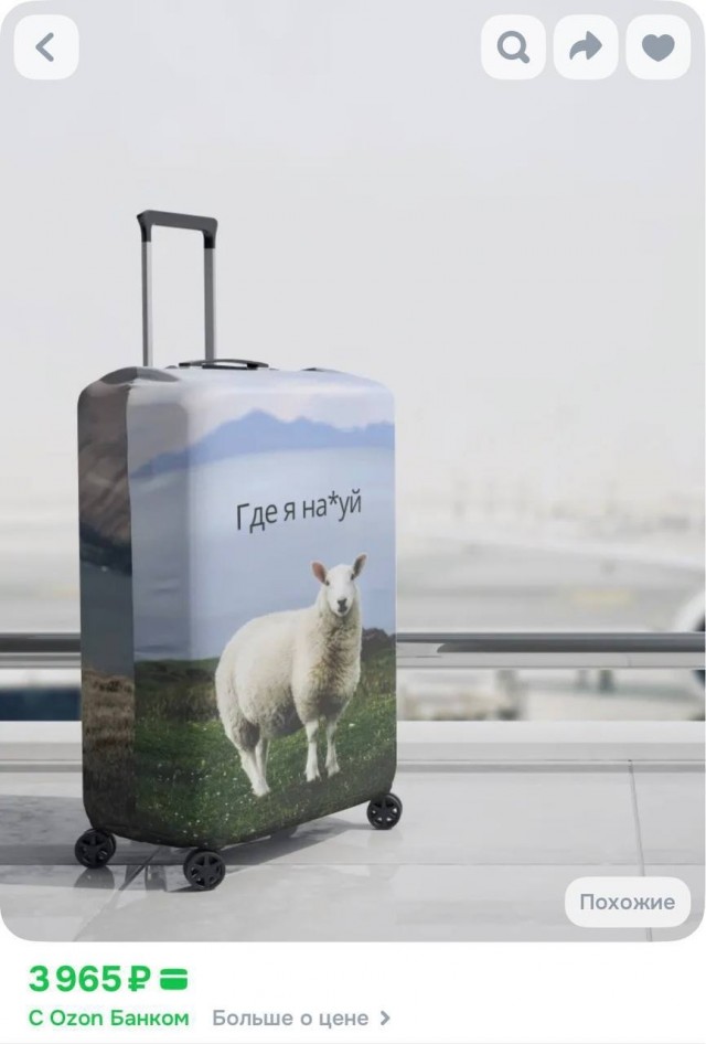 ���������! ������� ����� � �������� �� ���� (25 ����)