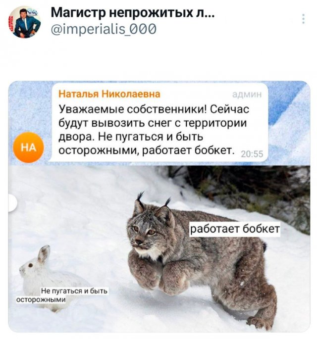 ������� �� ������� (30 ����)