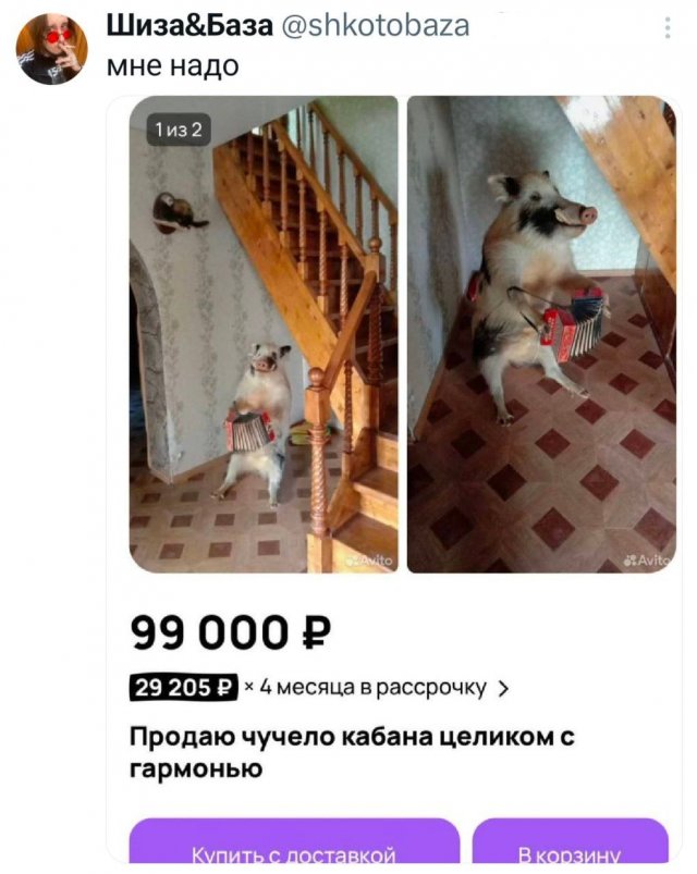 ������� �� ������� (30 ����)