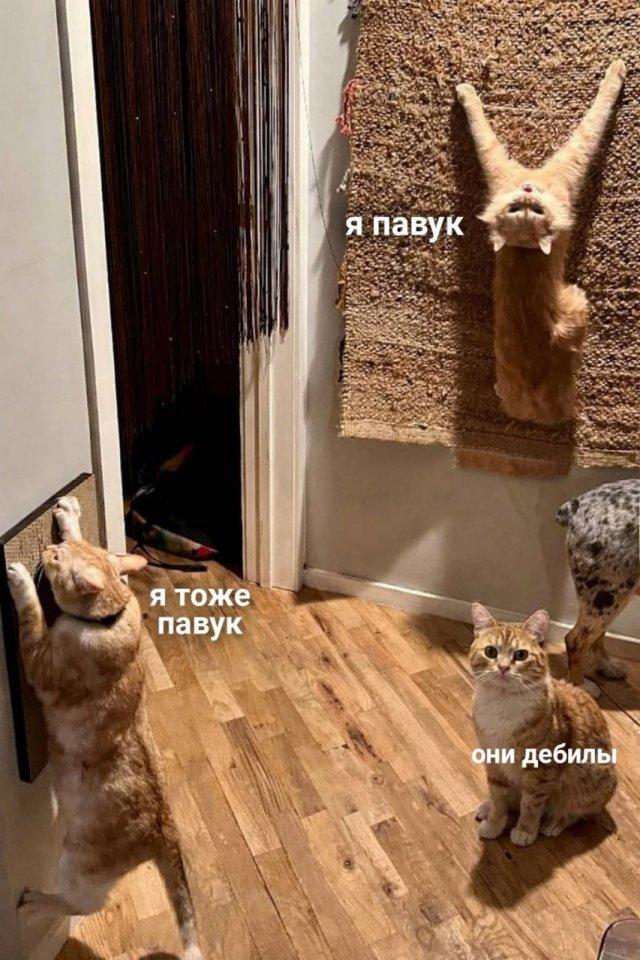 ���������! ���� ��� ��������� ���������� (15 ����)