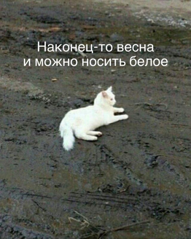 ���������! ���� ��� ��������� ���������� (15 ����)