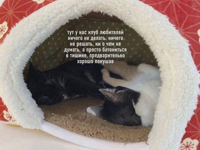 ���������! ���� ��� ��������� ���������� (15 ����)