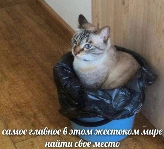 ���������! ���� ��� ��������� ���������� (15 ����)