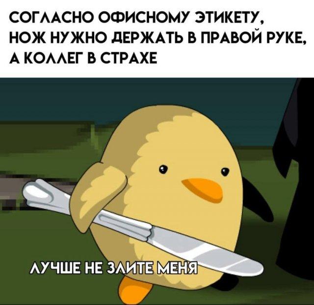 ���������! ���� ��� ��������� ���������� (15 ����)