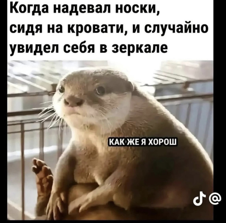 ���� � ������� �� ���� ��� ���������� (20 ����)