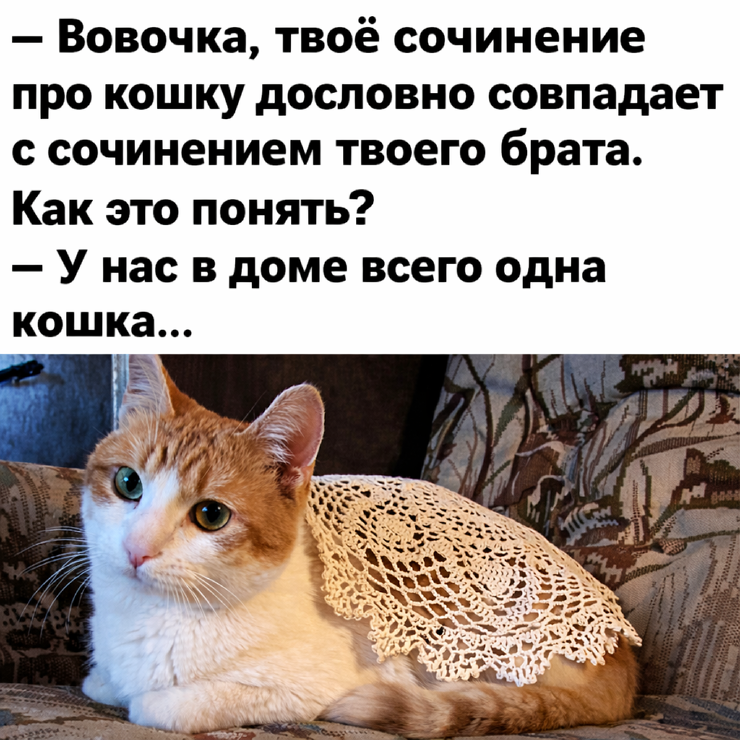 ���� � ������� �� ���� ��� ���������� (20 ����)