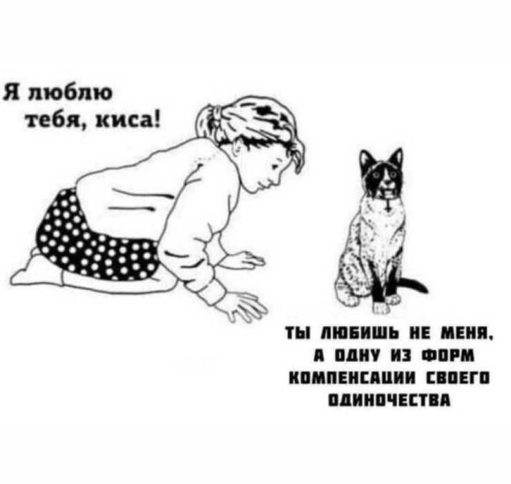 ���� � ������� �� ���� ��� ���������� (20 ����)