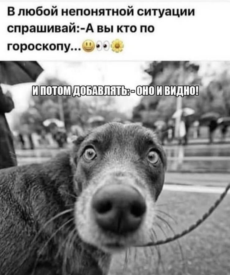 ������ ���� � ������� �� ���� (30 ����)