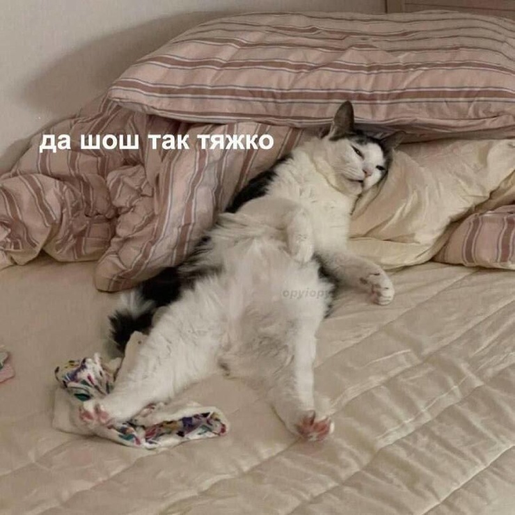 ������ ���� � ������� �� ���� (30 ����)