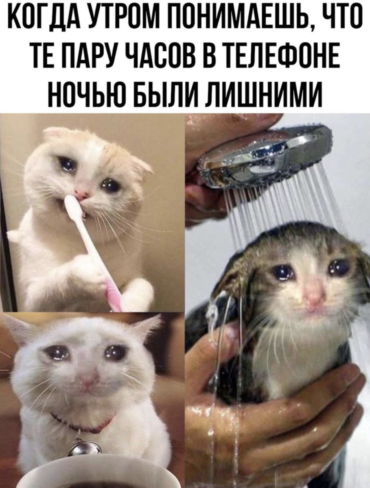 ������� �������� �� ���� ��� ���������� (30 ����)