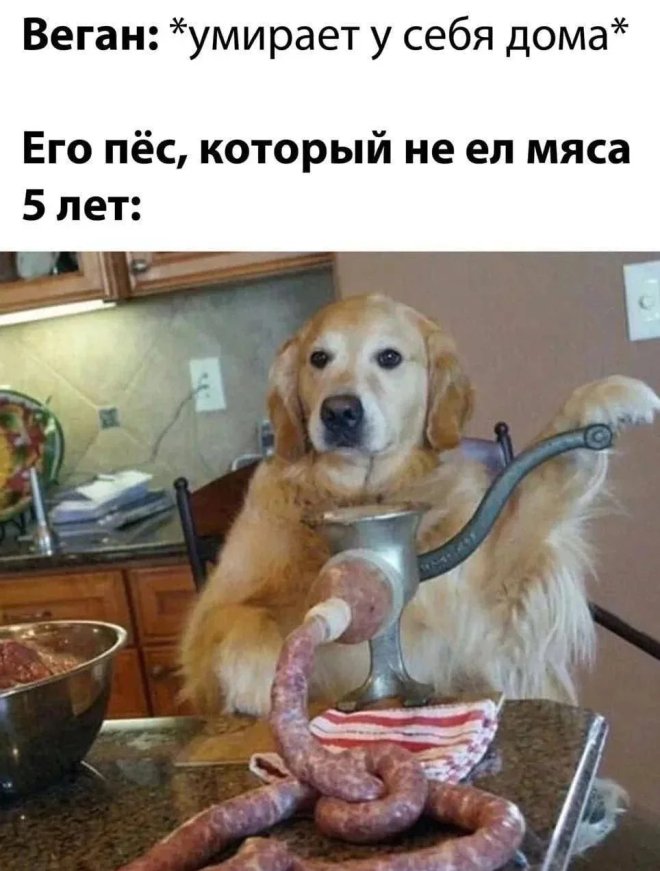 ������� �������� �� ���� ��� ���������� (30 ����)