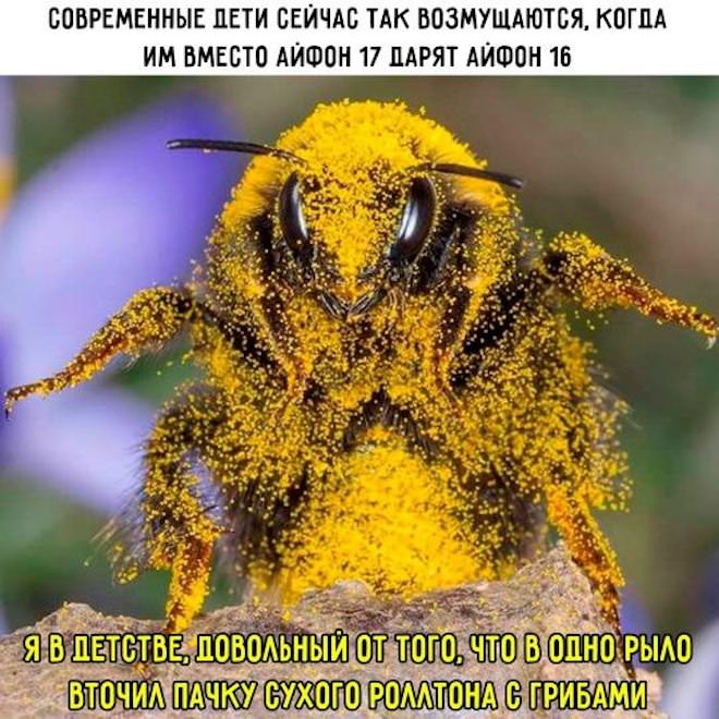 ������� �������� �� ���� ��� ���������� (30 ����)