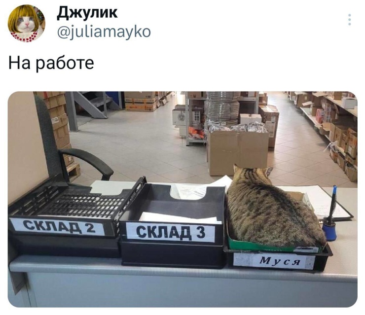 ������� ������ ����� ��� ���������� (26 ����)