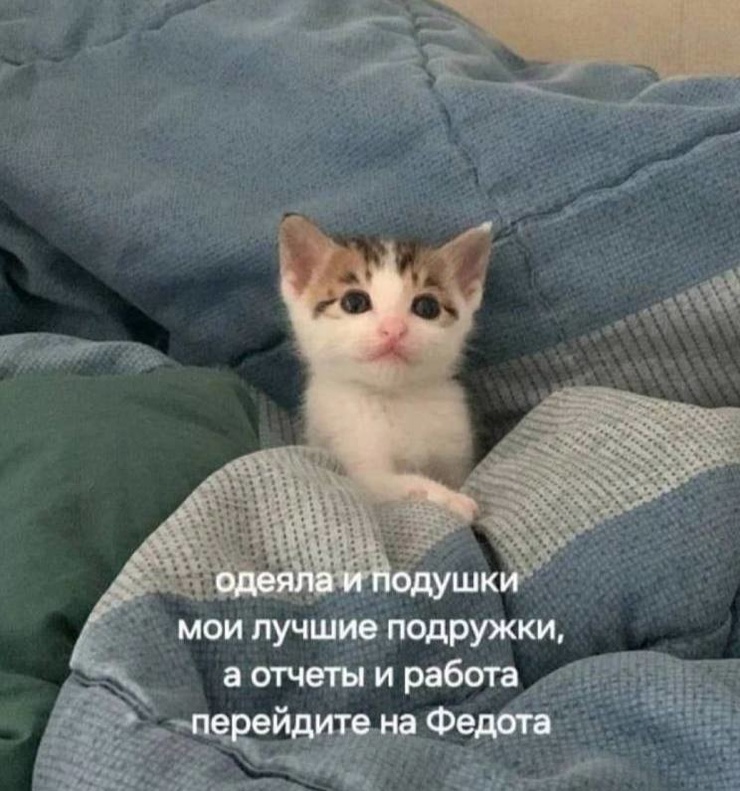 ������� ������ ����� ��� ���������� (26 ����)