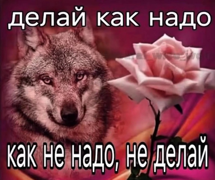 ������� ������ ����� ��� ���������� (26 ����)