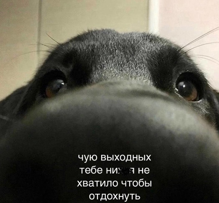 ������� ������ ����� ��� ���������� (26 ����)