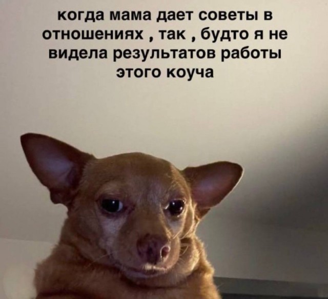 ���������! �������� �������� �� ���� (35 ����)