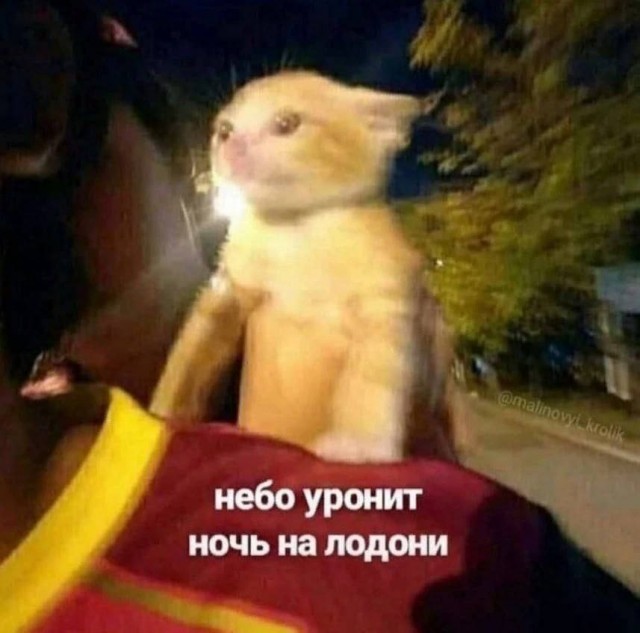 ���������! �������� �������� �� ���� (35 ����)